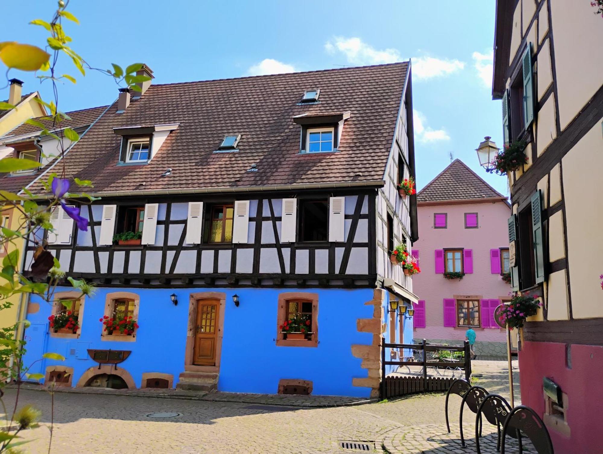 Gite Le Marronnier - Au Calme - Parking & Terrasse - Pres De Colmar Et Riquewihr - Route Des Vins Шатнуа Экстерьер фото