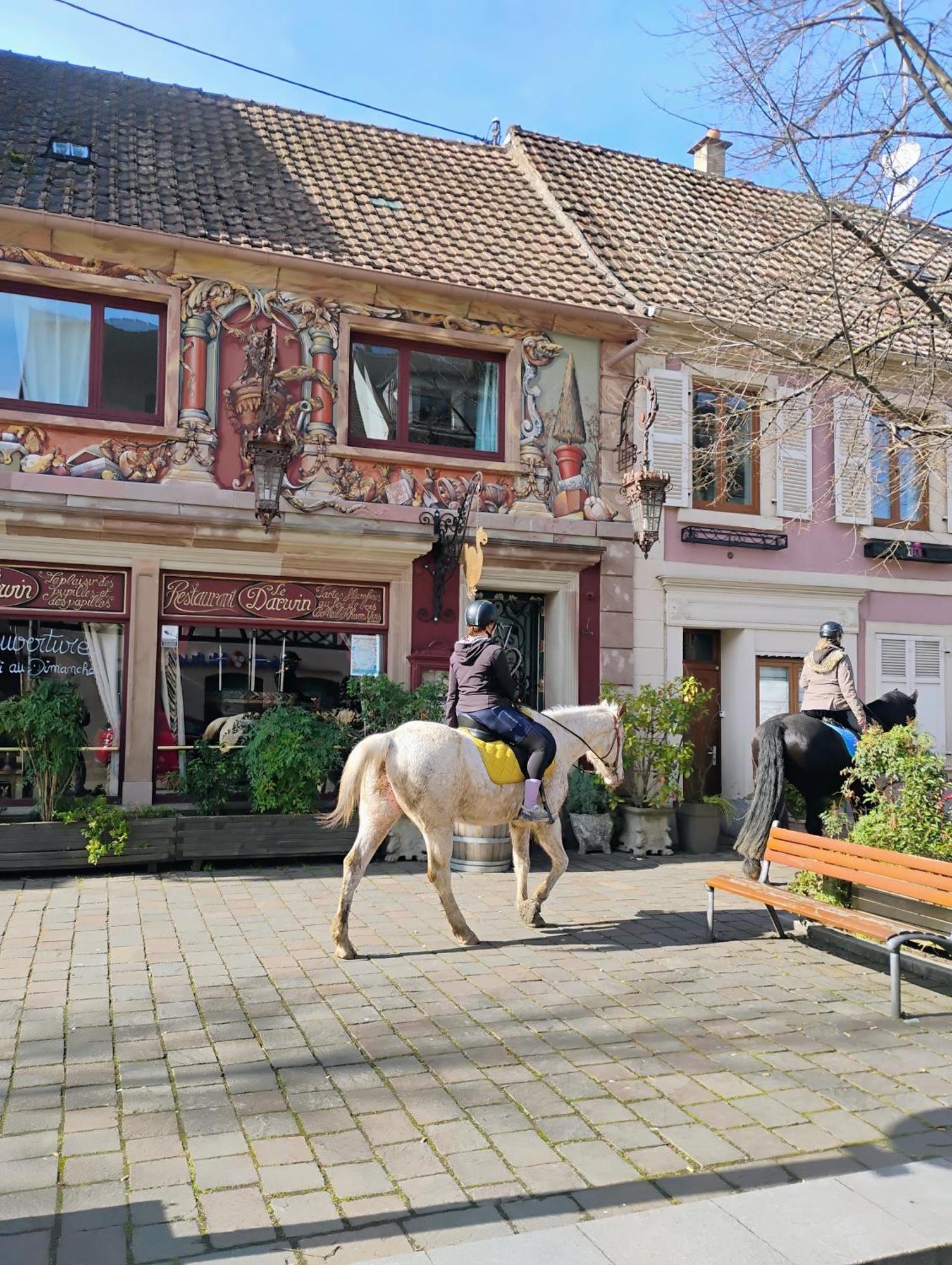 Gite Le Marronnier - Au Calme - Parking & Terrasse - Pres De Colmar Et Riquewihr - Route Des Vins Шатнуа Экстерьер фото
