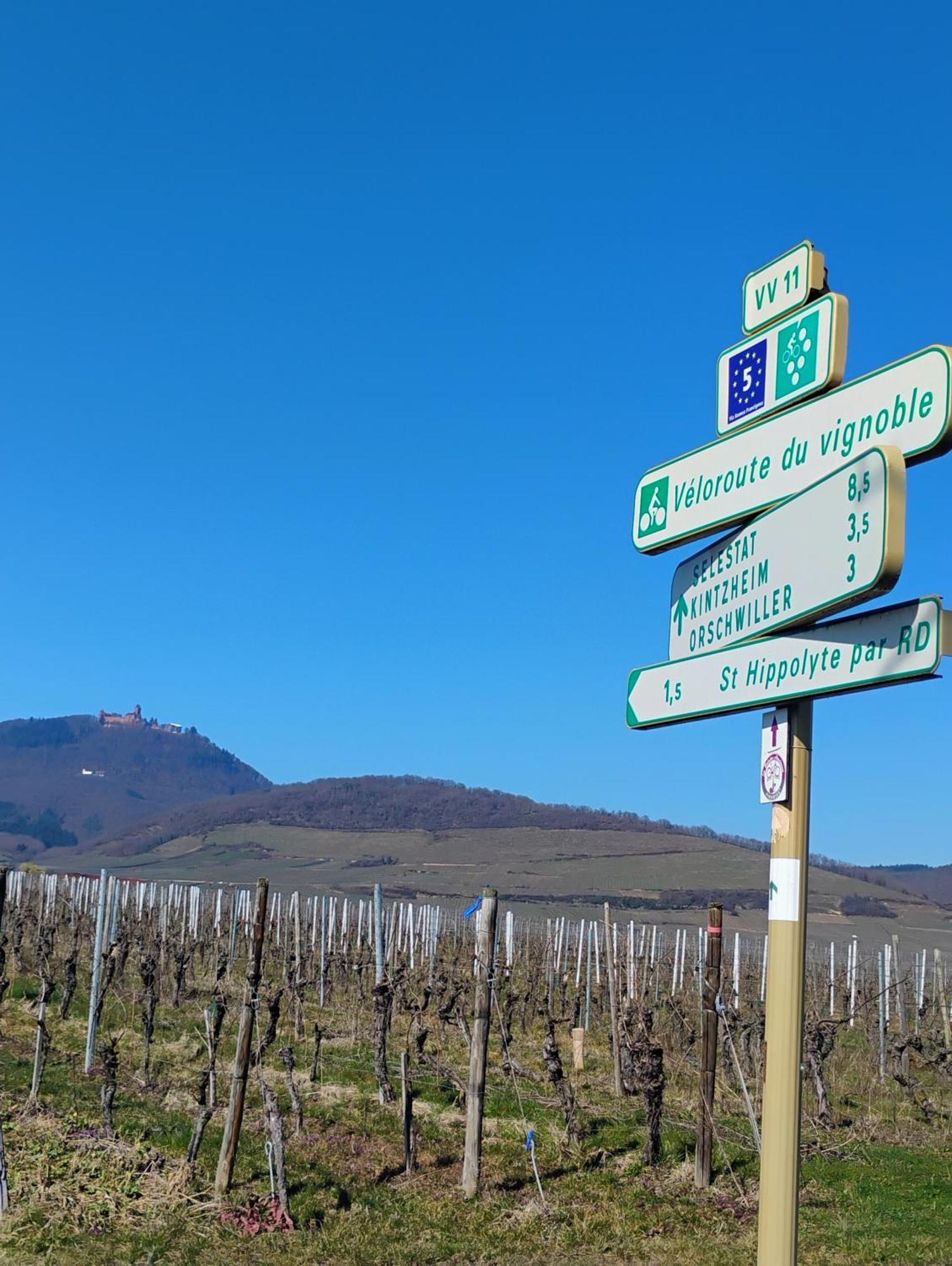 Gite Le Marronnier - Au Calme - Parking & Terrasse - Pres De Colmar Et Riquewihr - Route Des Vins Шатнуа Экстерьер фото