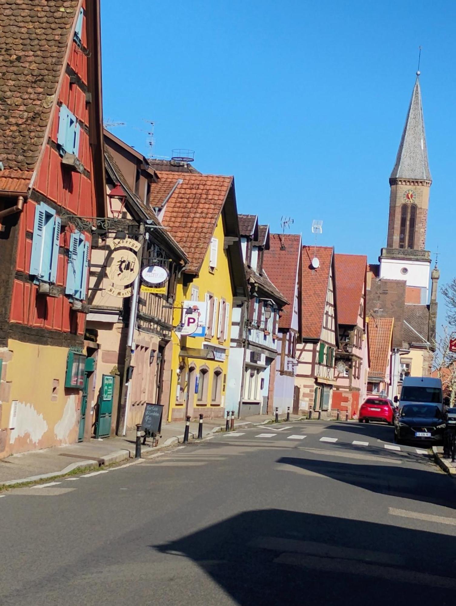 Gite Le Marronnier - Au Calme - Parking & Terrasse - Pres De Colmar Et Riquewihr - Route Des Vins Шатнуа Экстерьер фото