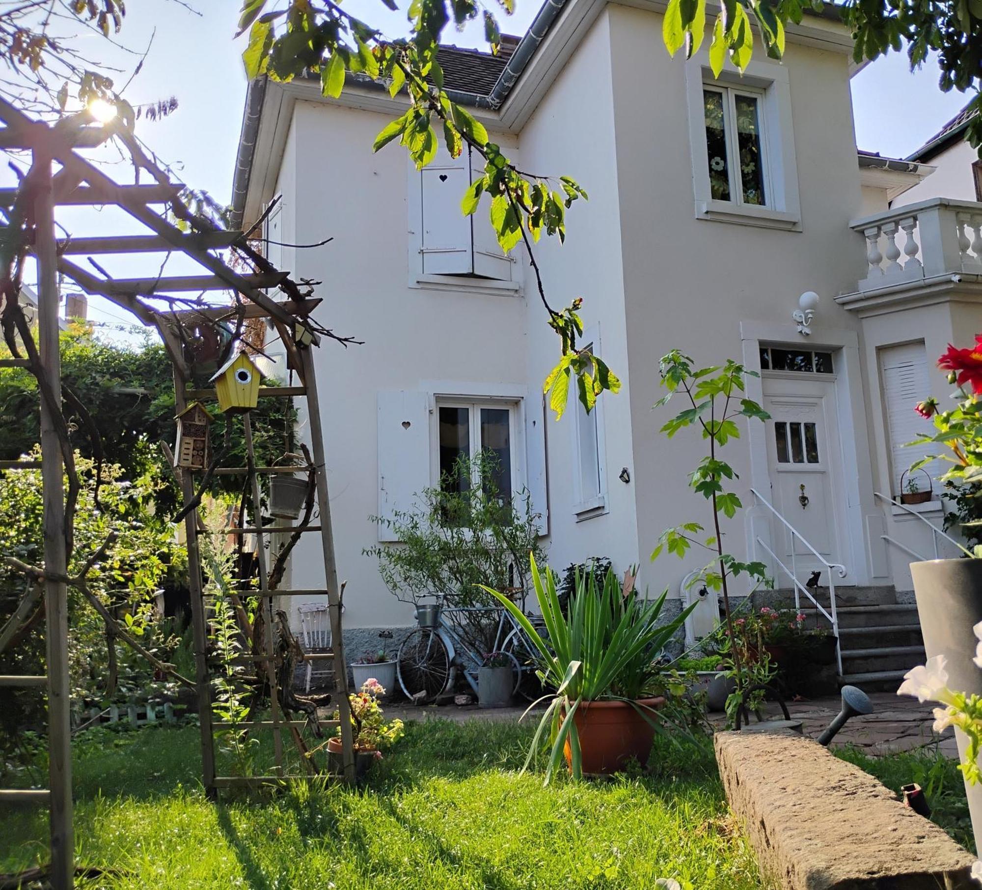Gite Le Marronnier - Au Calme - Parking & Terrasse - Pres De Colmar Et Riquewihr - Route Des Vins Шатнуа Экстерьер фото