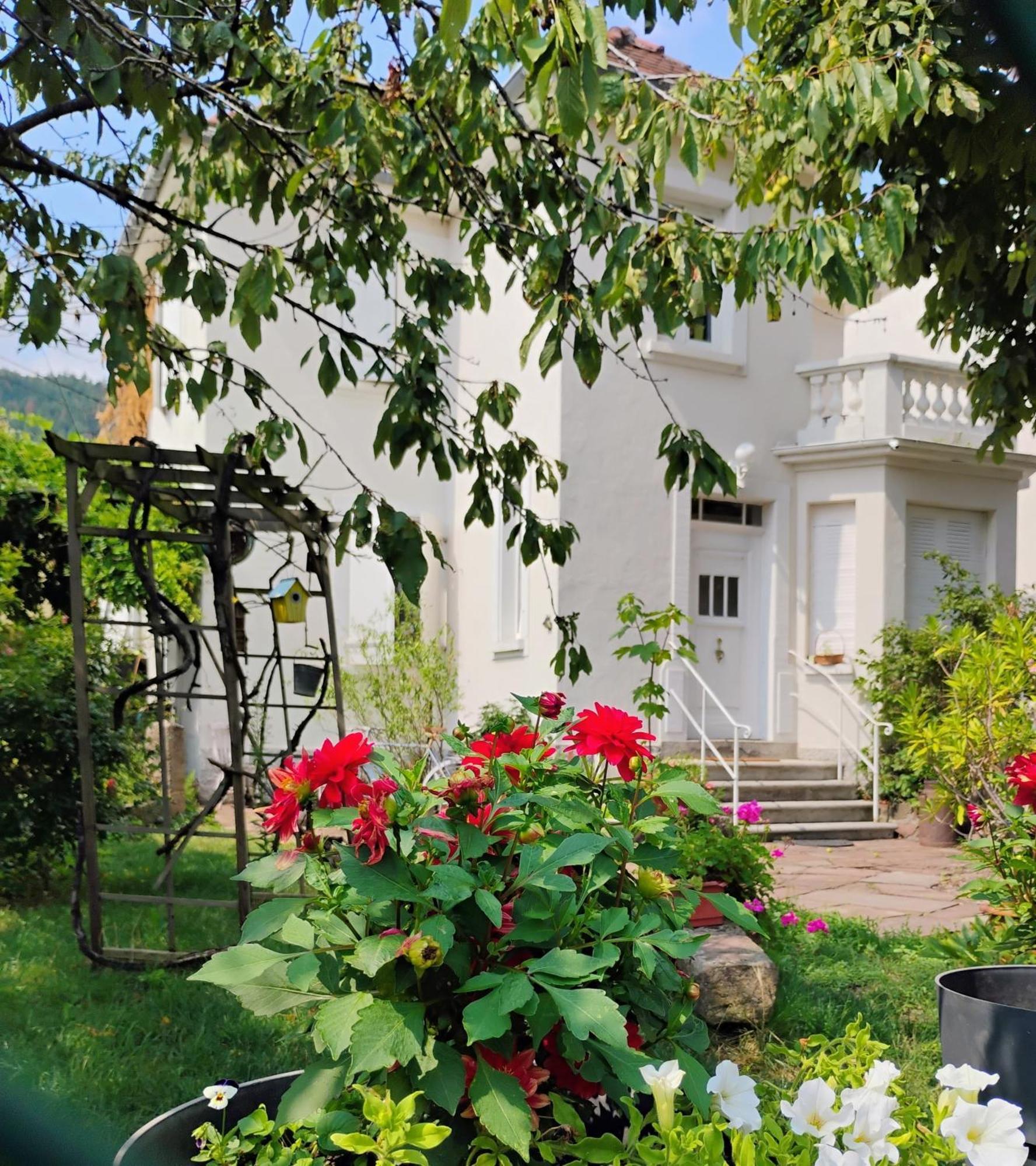 Gite Le Marronnier - Au Calme - Parking & Terrasse - Pres De Colmar Et Riquewihr - Route Des Vins Шатнуа Экстерьер фото