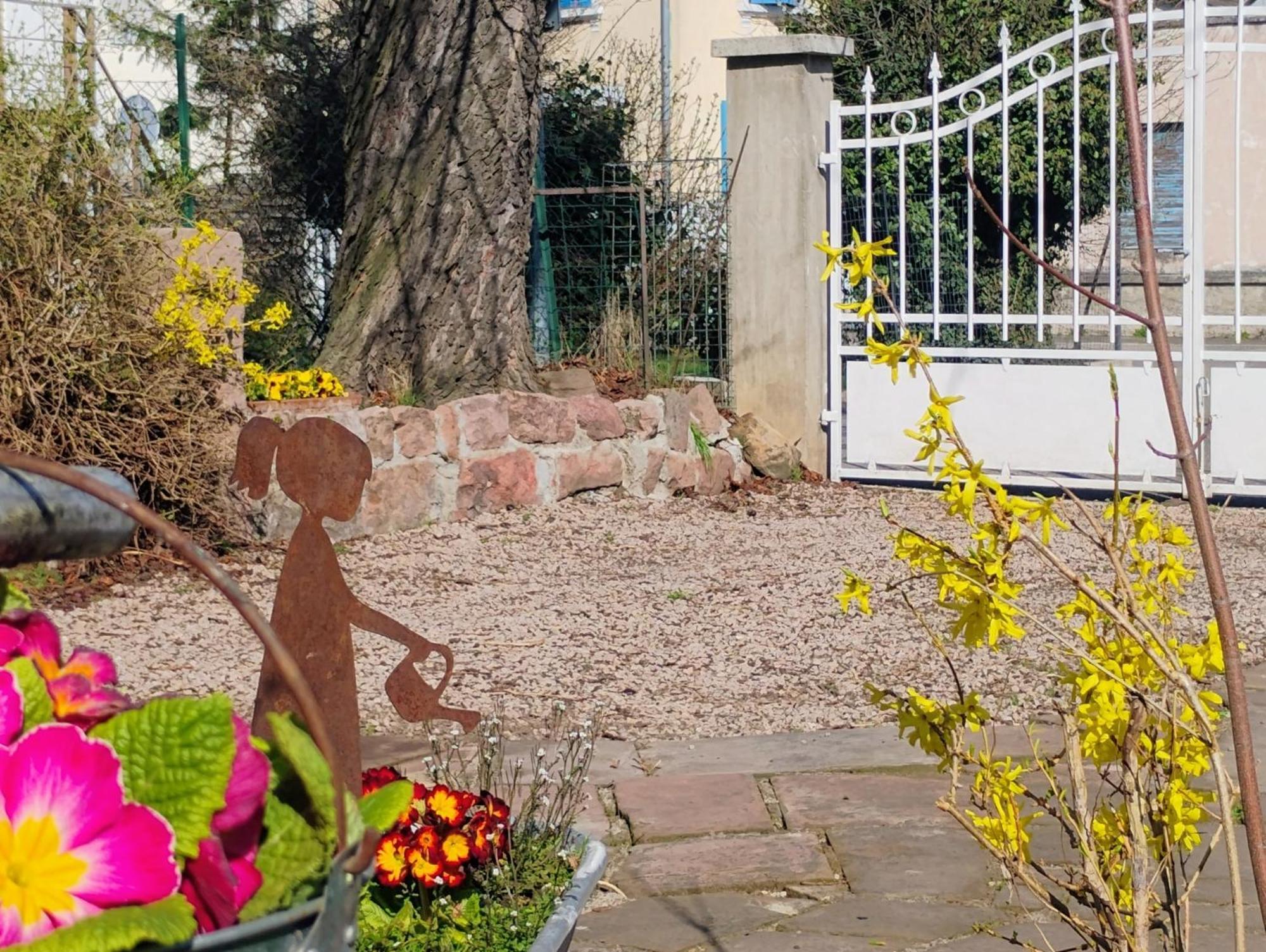 Gite Le Marronnier - Au Calme - Parking & Terrasse - Pres De Colmar Et Riquewihr - Route Des Vins Шатнуа Экстерьер фото