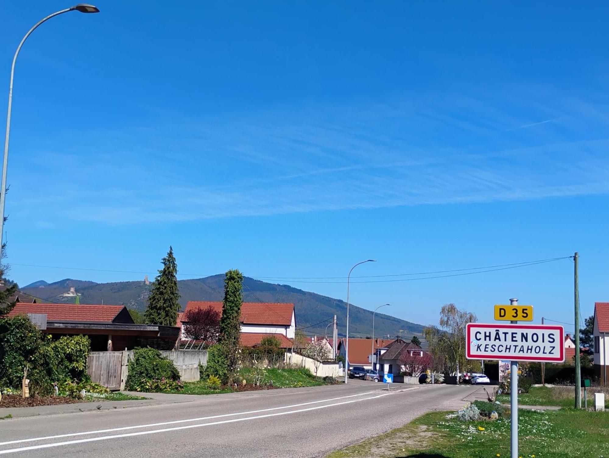 Gite Le Marronnier - Au Calme - Parking & Terrasse - Pres De Colmar Et Riquewihr - Route Des Vins Шатнуа Экстерьер фото