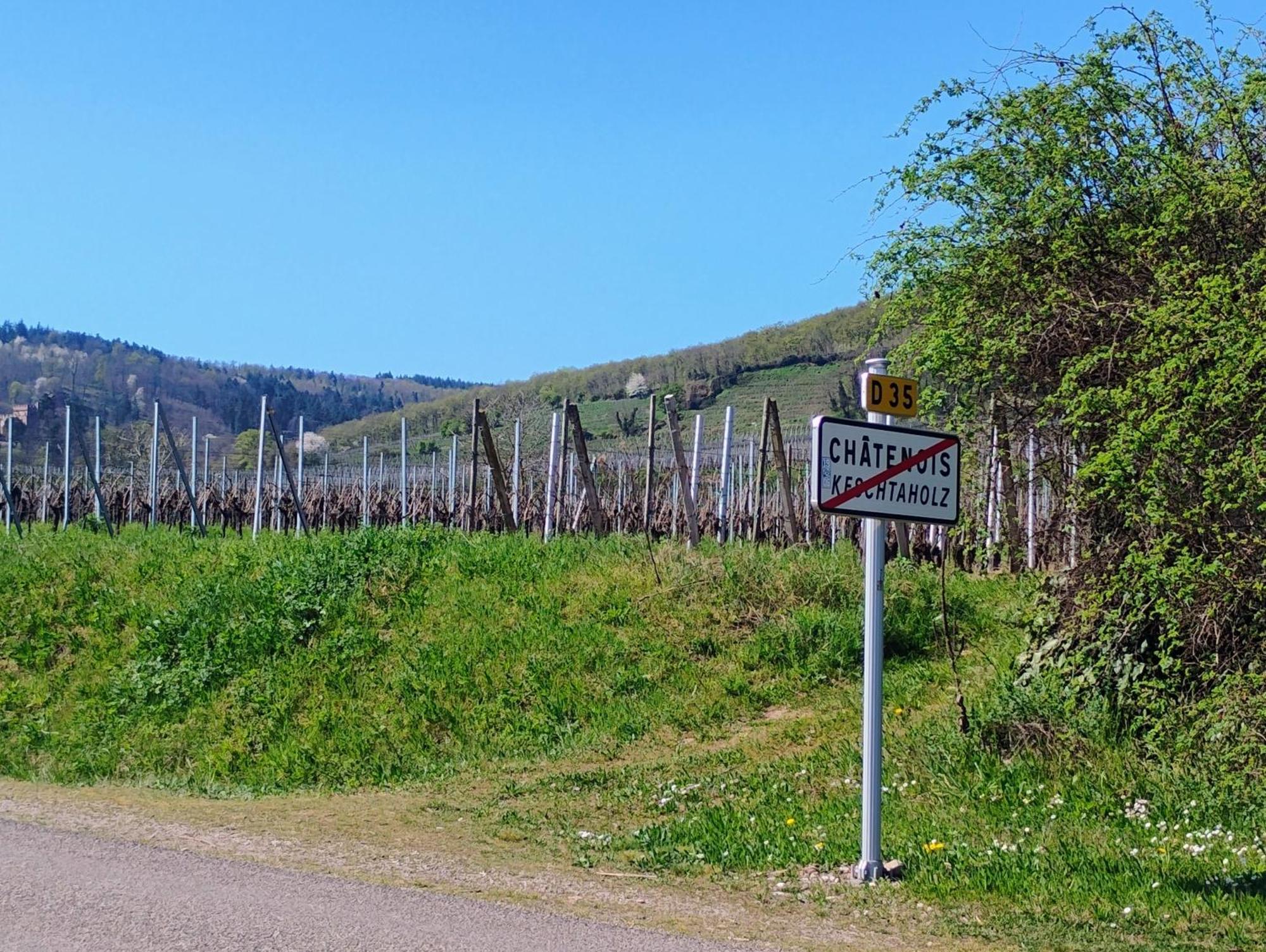 Gite Le Marronnier - Au Calme - Parking & Terrasse - Pres De Colmar Et Riquewihr - Route Des Vins Шатнуа Экстерьер фото