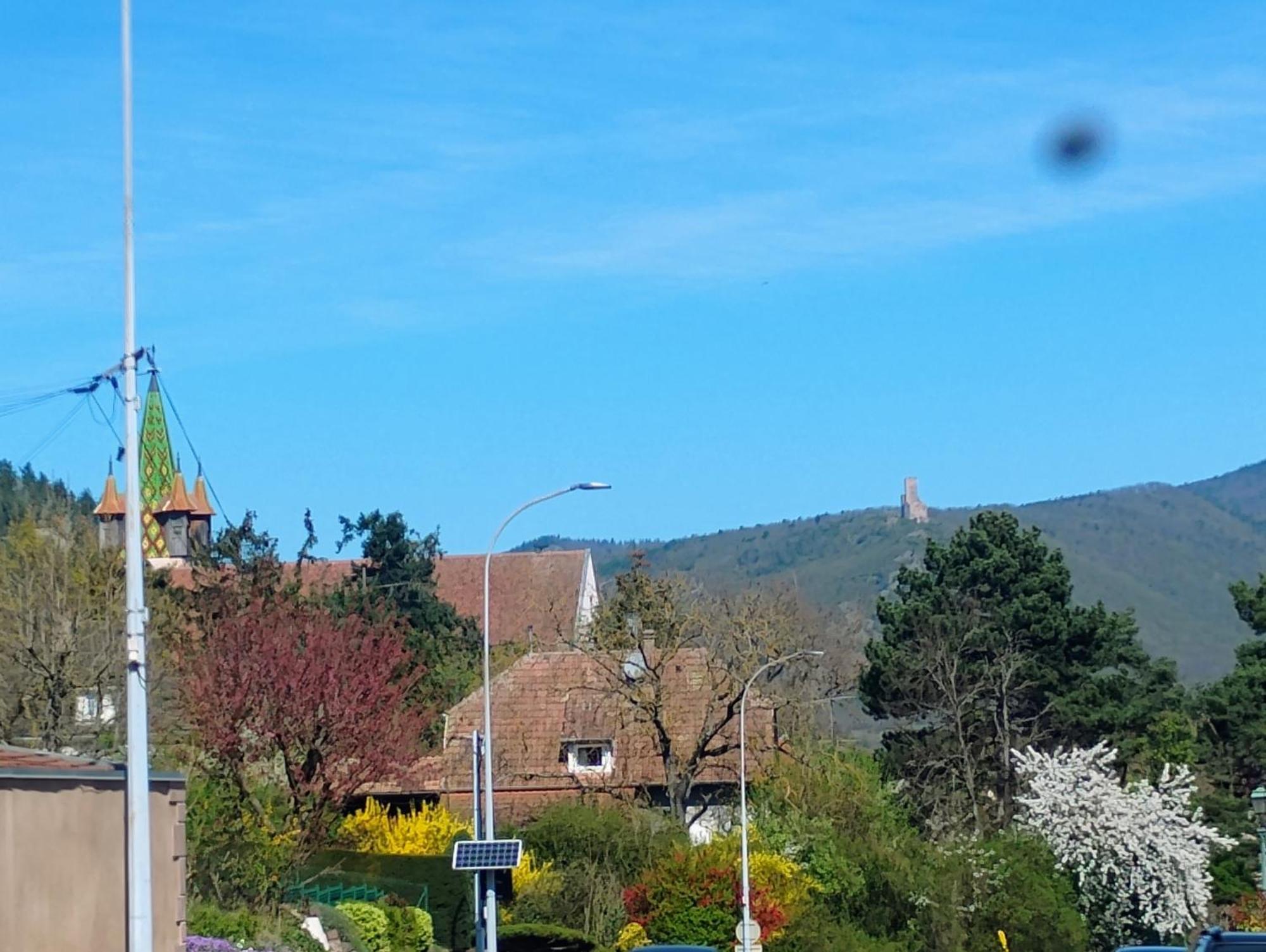 Gite Le Marronnier - Au Calme - Parking & Terrasse - Pres De Colmar Et Riquewihr - Route Des Vins Шатнуа Экстерьер фото