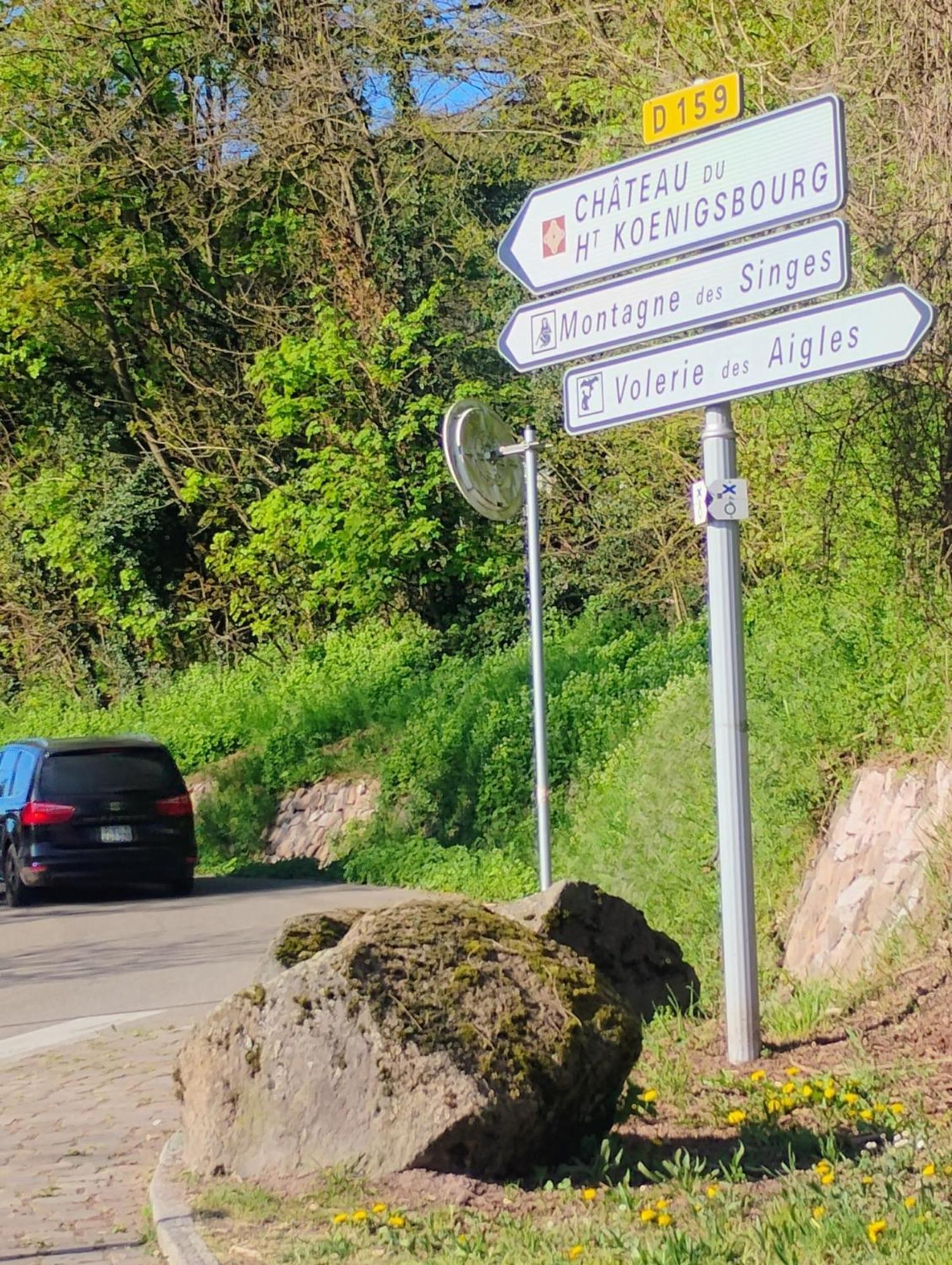 Gite Le Marronnier - Au Calme - Parking & Terrasse - Pres De Colmar Et Riquewihr - Route Des Vins Шатнуа Экстерьер фото